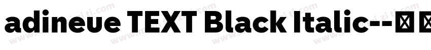adineue TEXT Black Italic-字体转换